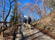 11 Sulla comoda strada agrosilvopastorale (sent. 579)